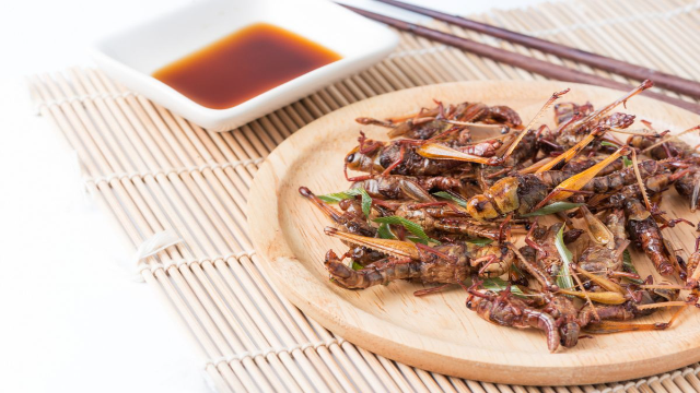 5 Motor Listrik Keluaran Terbaru yang diIncar Masyarakat